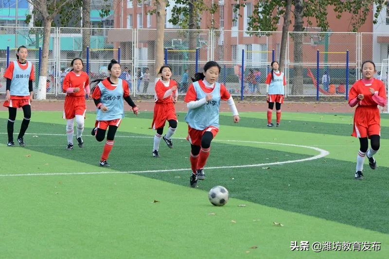 关于提升课后服务水平的建议,教育局课后服务开展情况简介