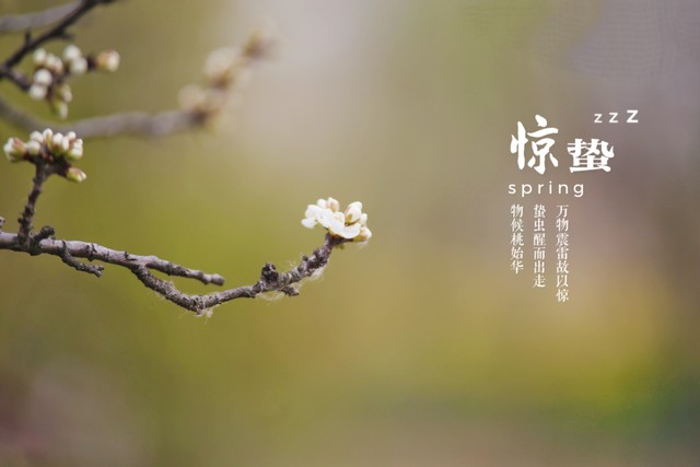 二月闰月什么时间送闰月鞋,是闰月送鞋还是闰二月送鞋