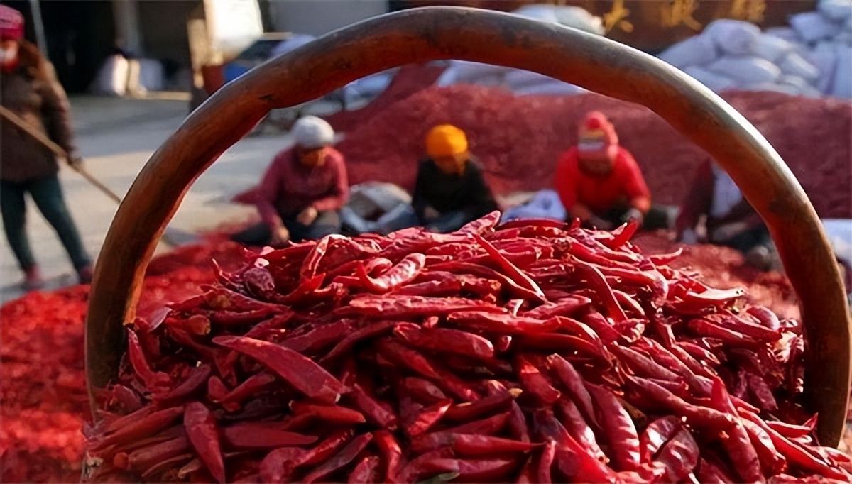 吃辣椒太多能被辣死吗,辣椒吃多了真的会辣死吗