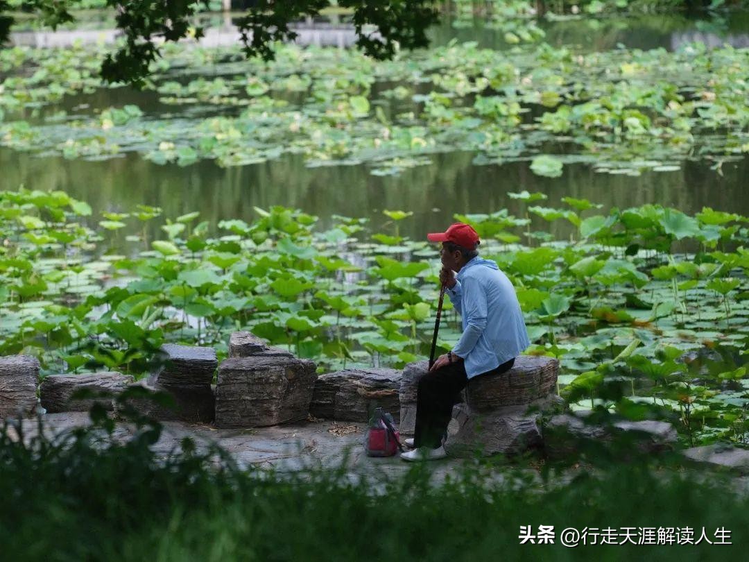 新加坡老人没有退休金吗,没有退休金的老人国家有补助吗