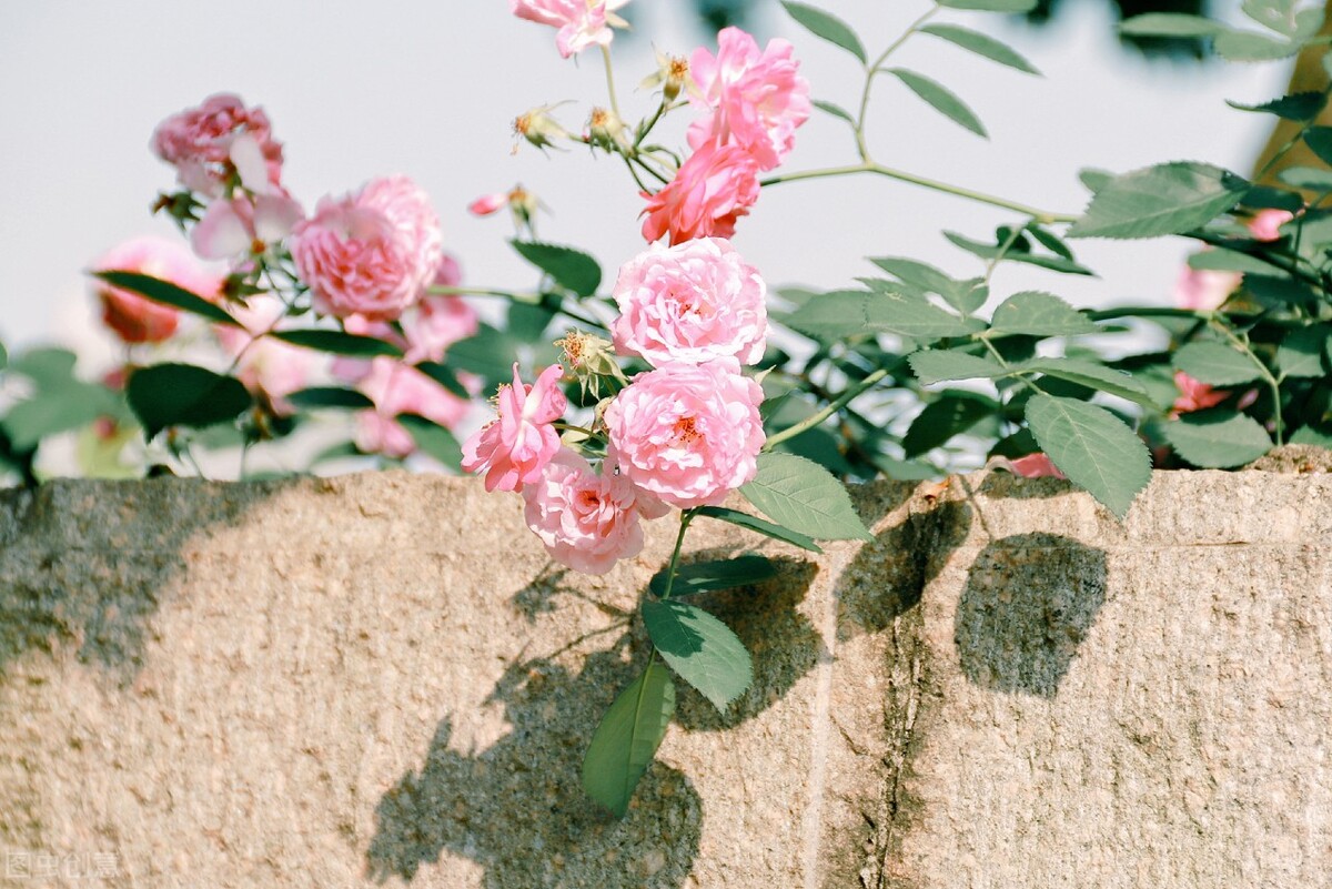 十个女人九个寒怎样调理,十个女人九个炎症