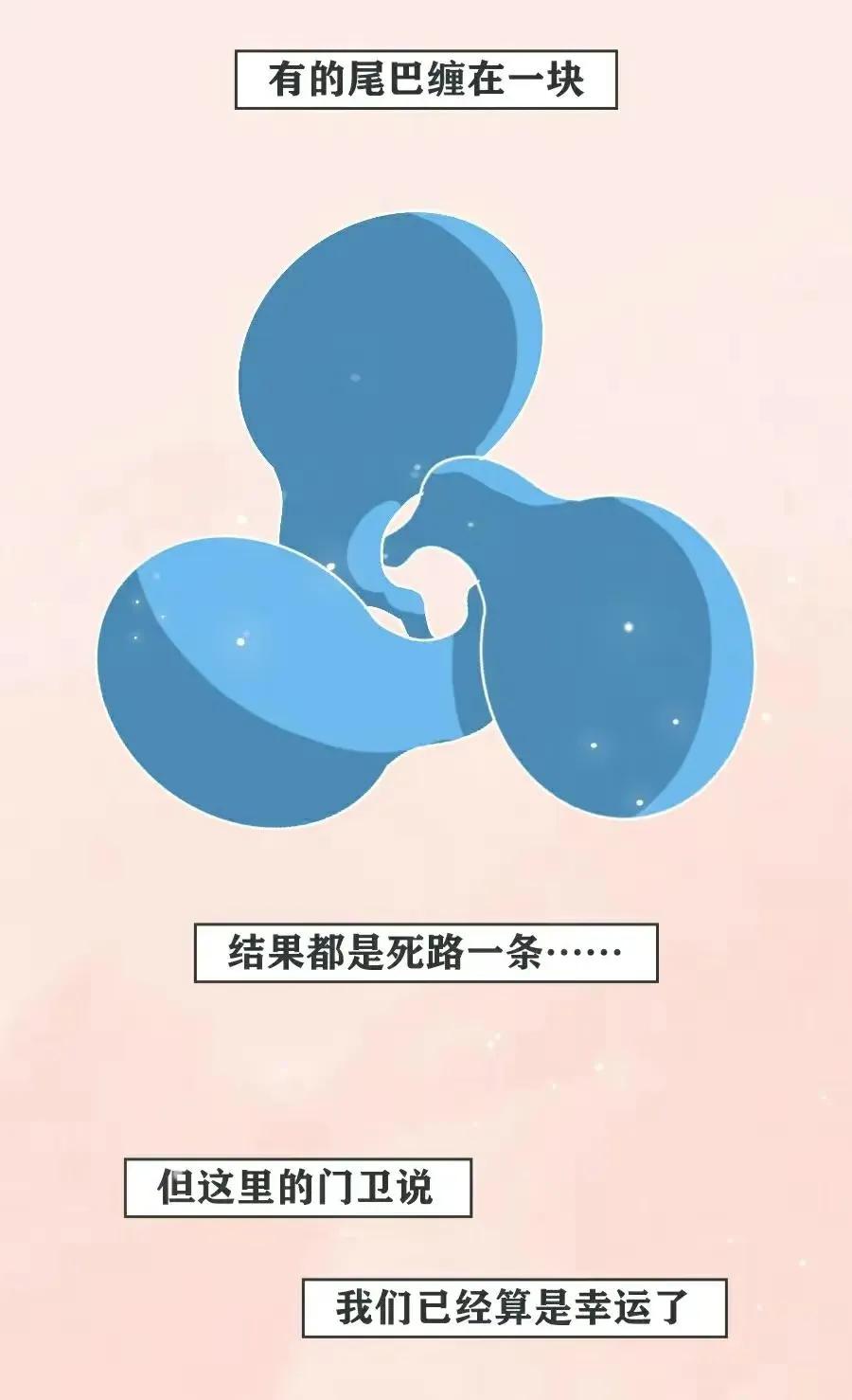 精子是怎么进入对方体内的，真是历经九九八十一难！