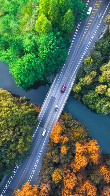 君子慎独,君子慎独全文阅读