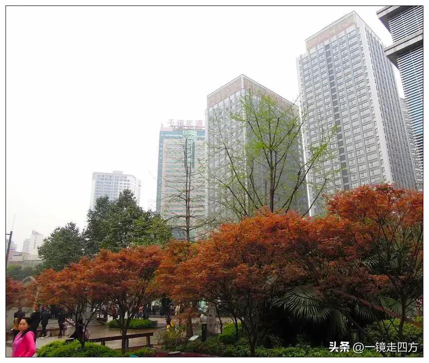 镜头记录老街,镜头里的重庆视频