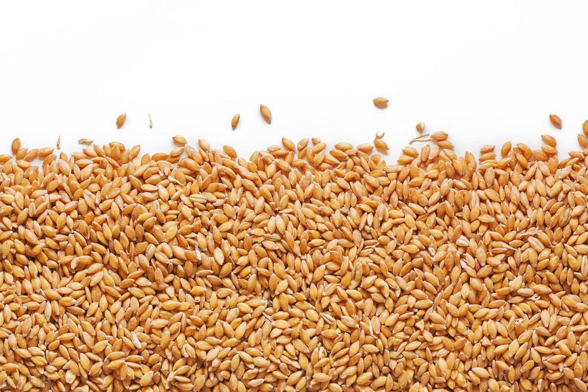 宇宙中的数字奥秘,素数与宇宙