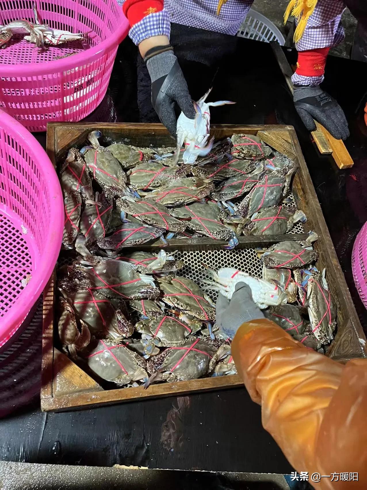 开海了一大波新鲜海鲜已上市,开海了一大波肥美海鲜正在上岸