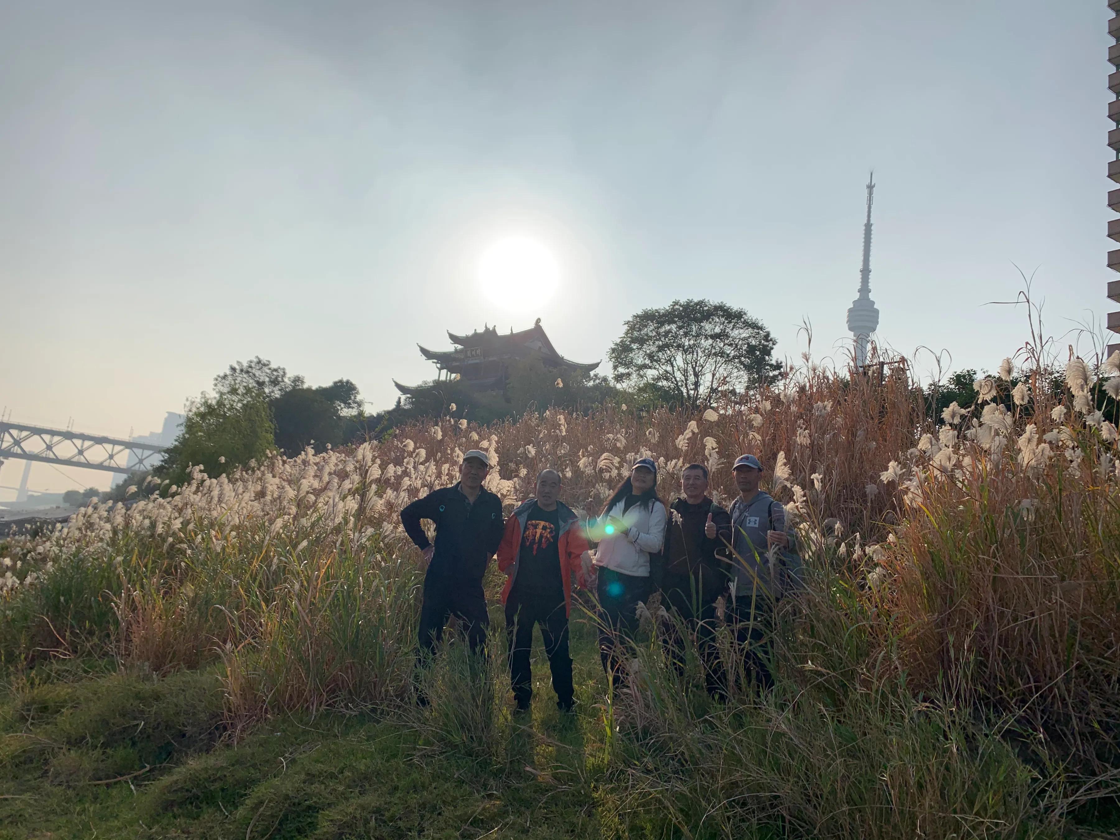 游记108,游记11集