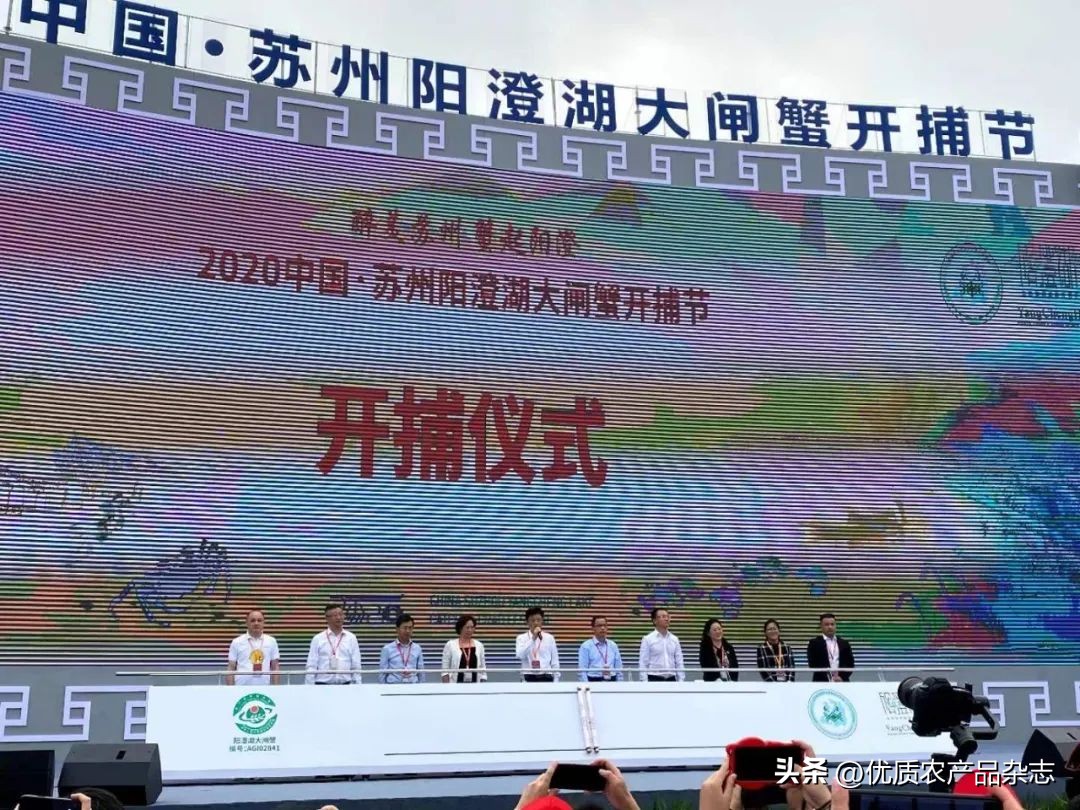 阳澄湖大闸蟹母蟹公蟹怎么分别,阳澄湖大闸蟹三十多年的吃蟹经验