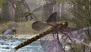 铝箔纸可以完全隔绝空气吗,铝箔纸能屏蔽手机信号吗