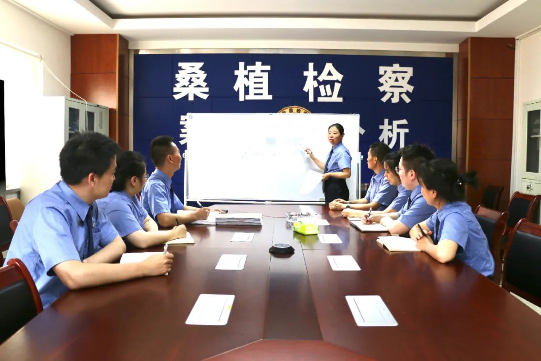 公安部公布涉药品犯罪典型案例,最高检严惩麻醉药品犯罪案例