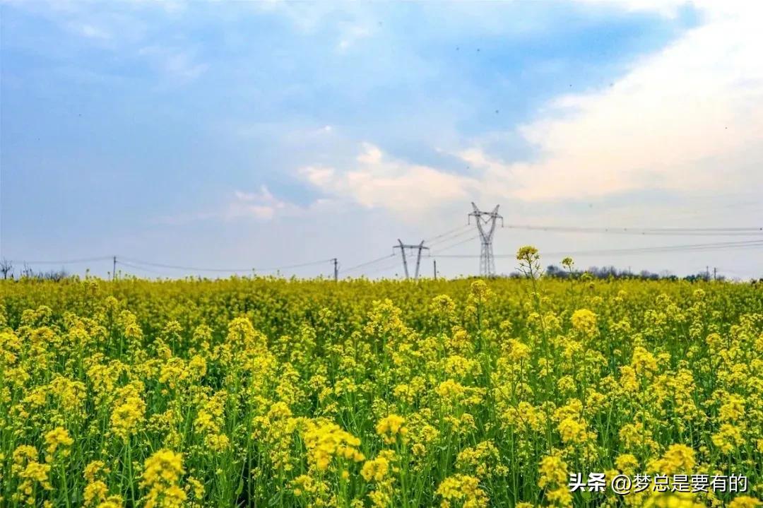 孩子吸烟了怎么办,孩子吸烟怎么办视频