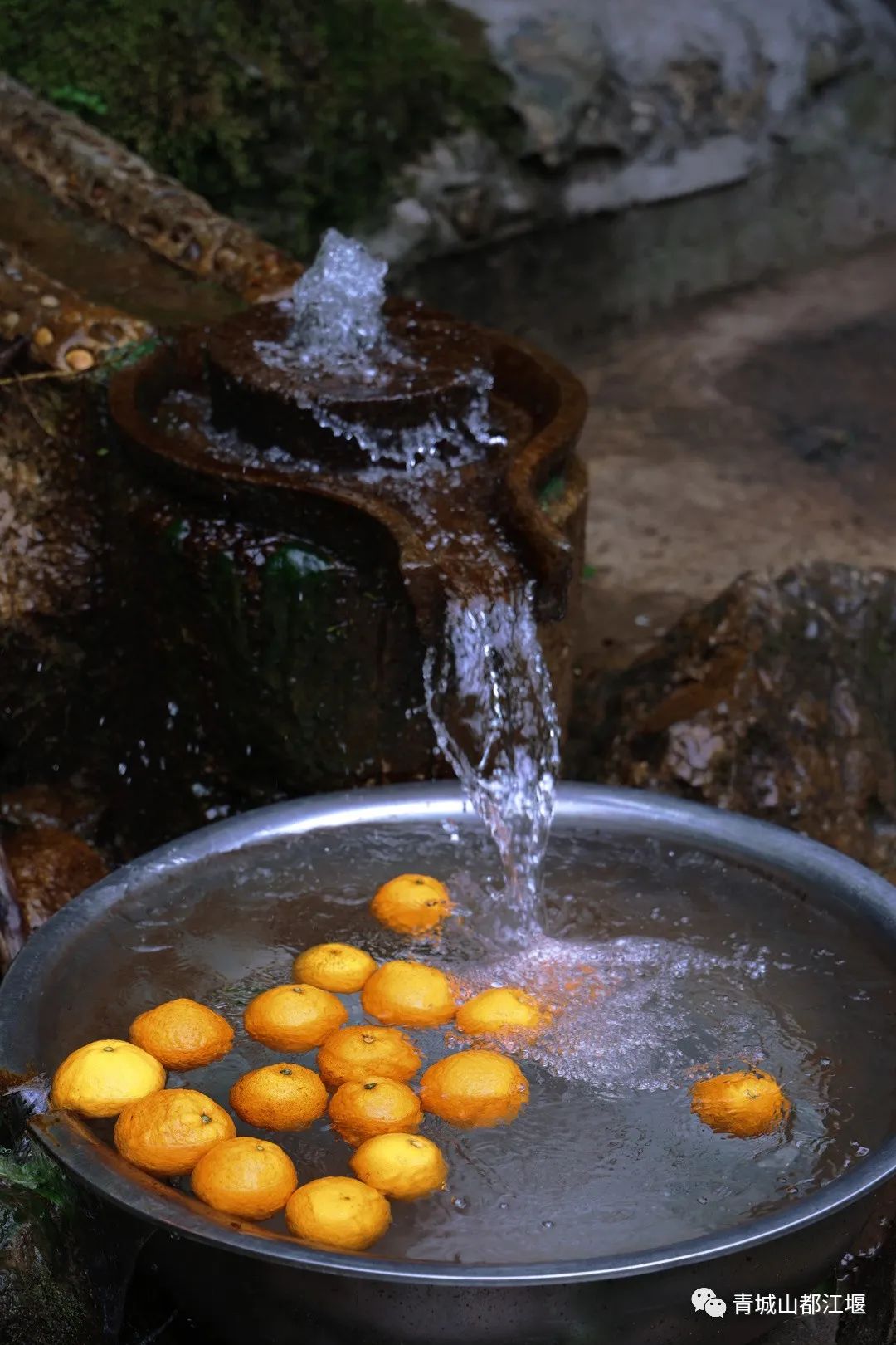 青城山森林秘境,青城山风光好去处