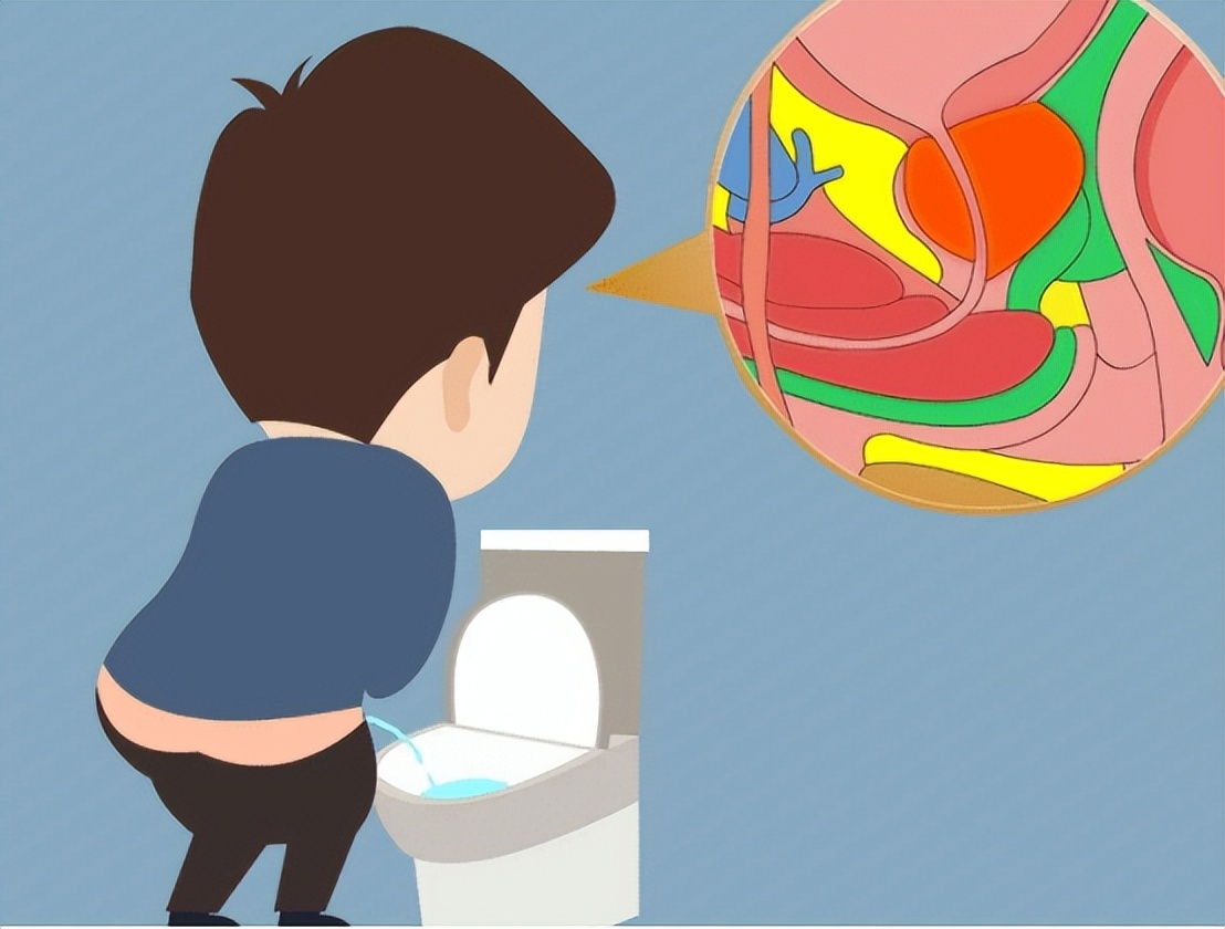 36岁的男性前列腺炎发病率有多高,前列腺炎病因及发病机制