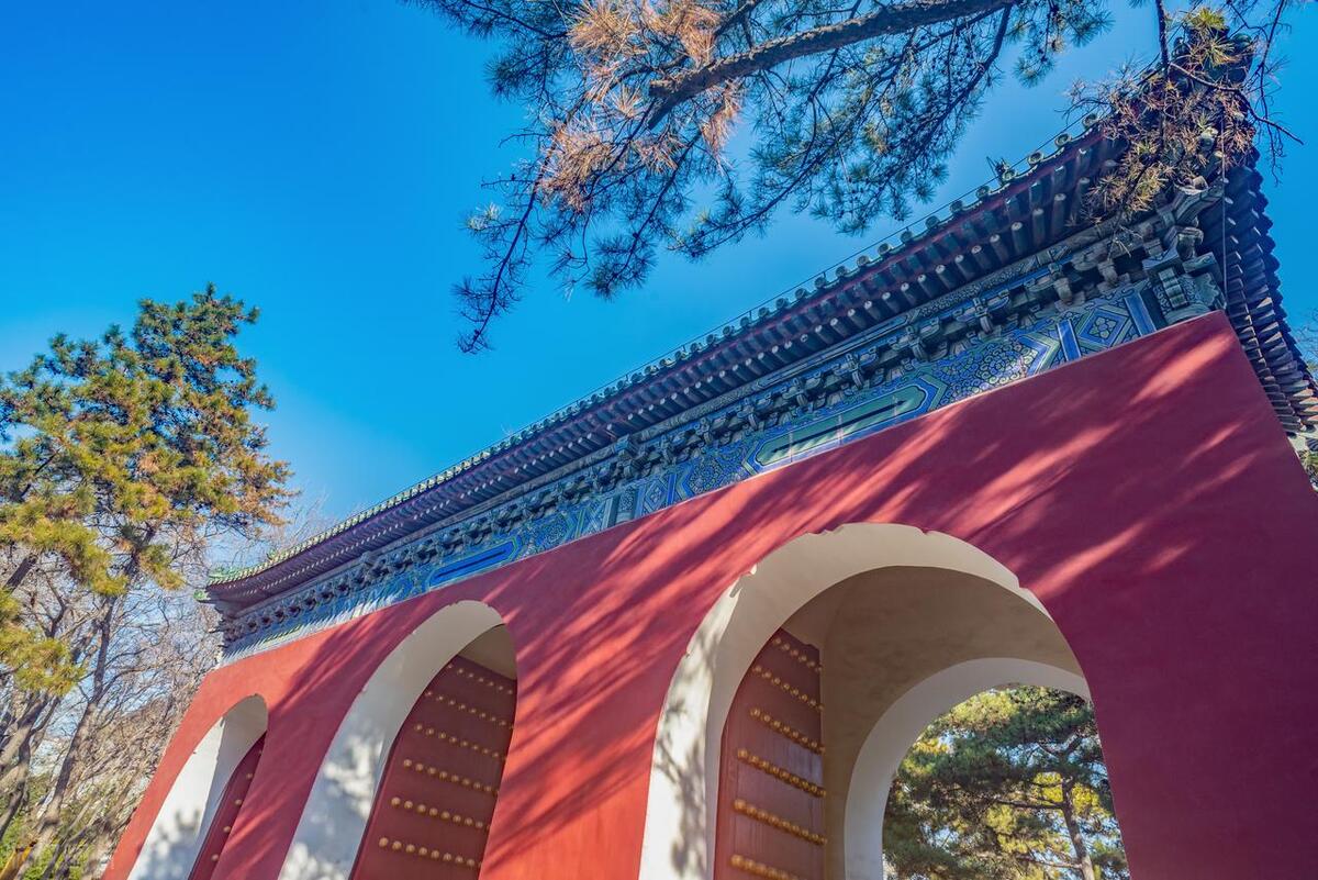 朝阳区文旅局,北京朝阳区文旅局电话