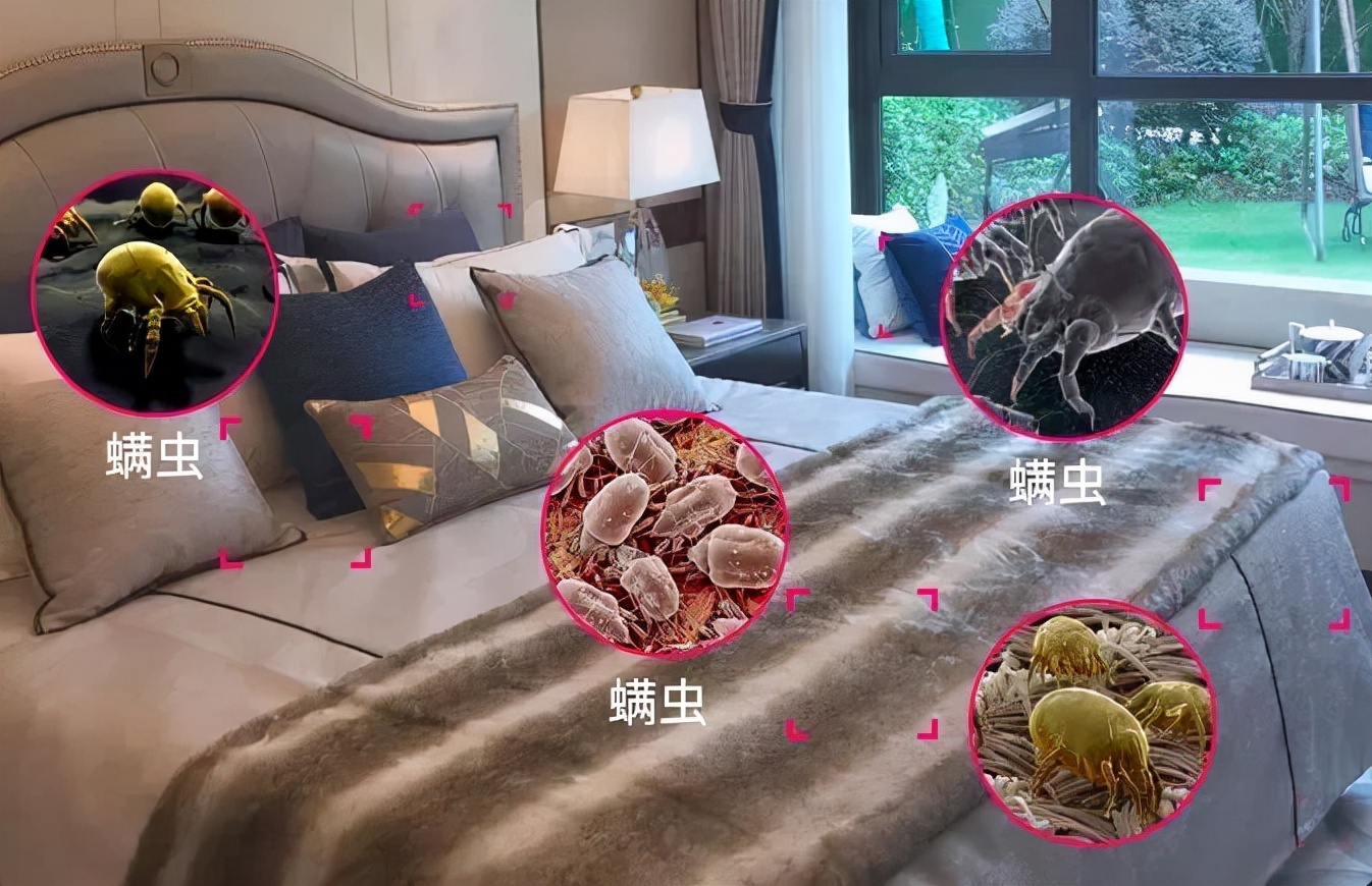 被子螨虫多身上痒怎么办,被子螨虫用什么洗最好
