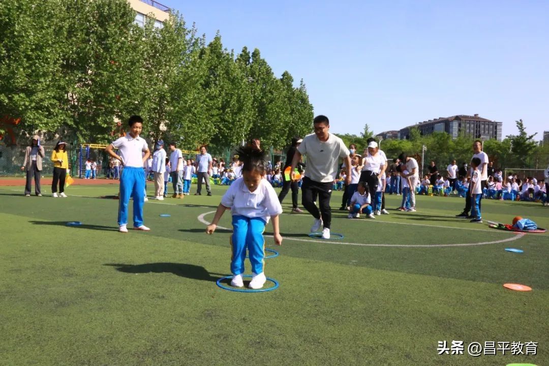 校园竞技体育的魅力,校园青春比赛