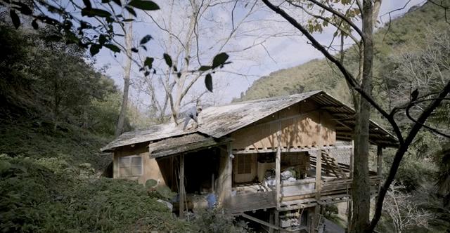 8个好友在福建抱团村居:几乎不花钱,尝试在山里养育下一代