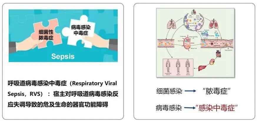 曹彬教授谈新冠,呼吸科曹彬