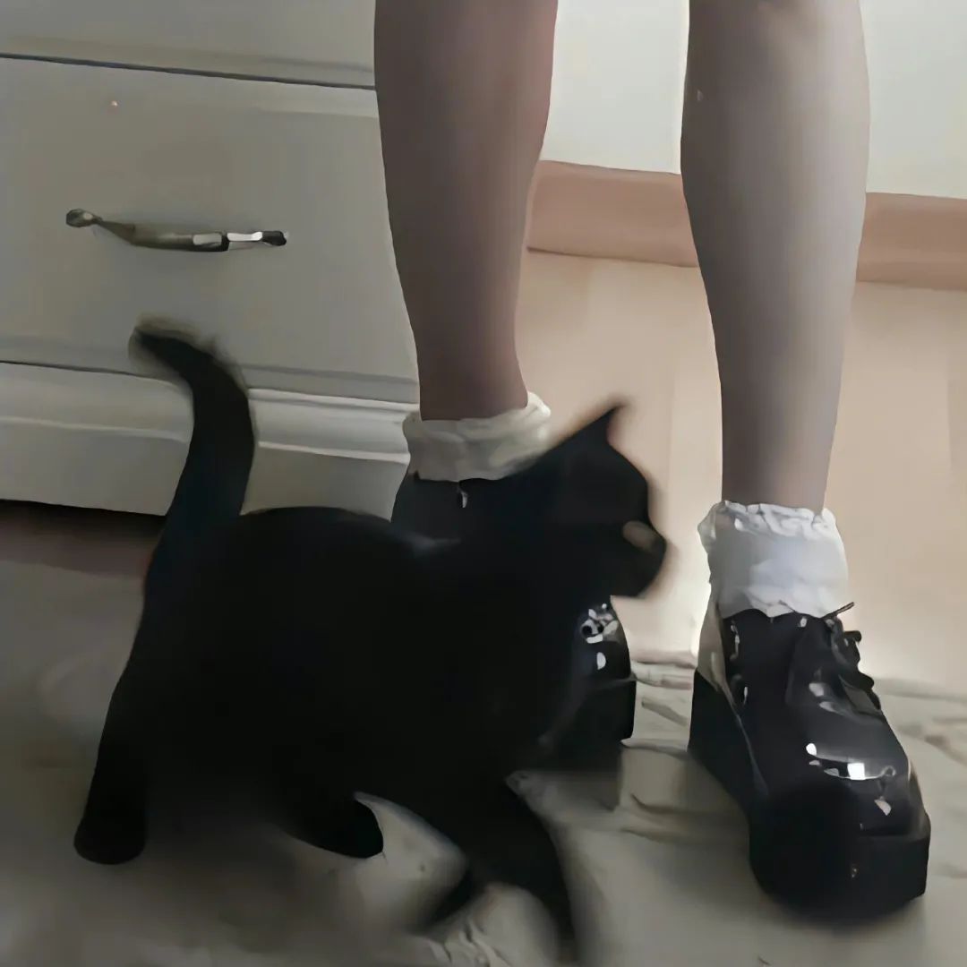 朋友圈背景图视频,朋友圈背景图怎么设置动态视频