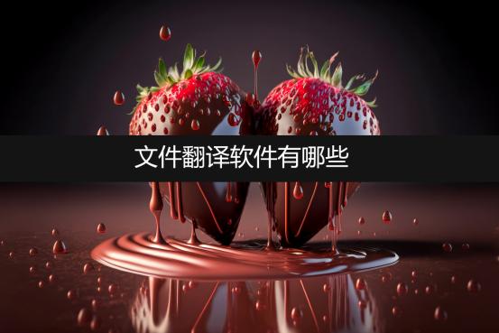 文件翻译软件哪家最好,整个文件翻译的软件推荐