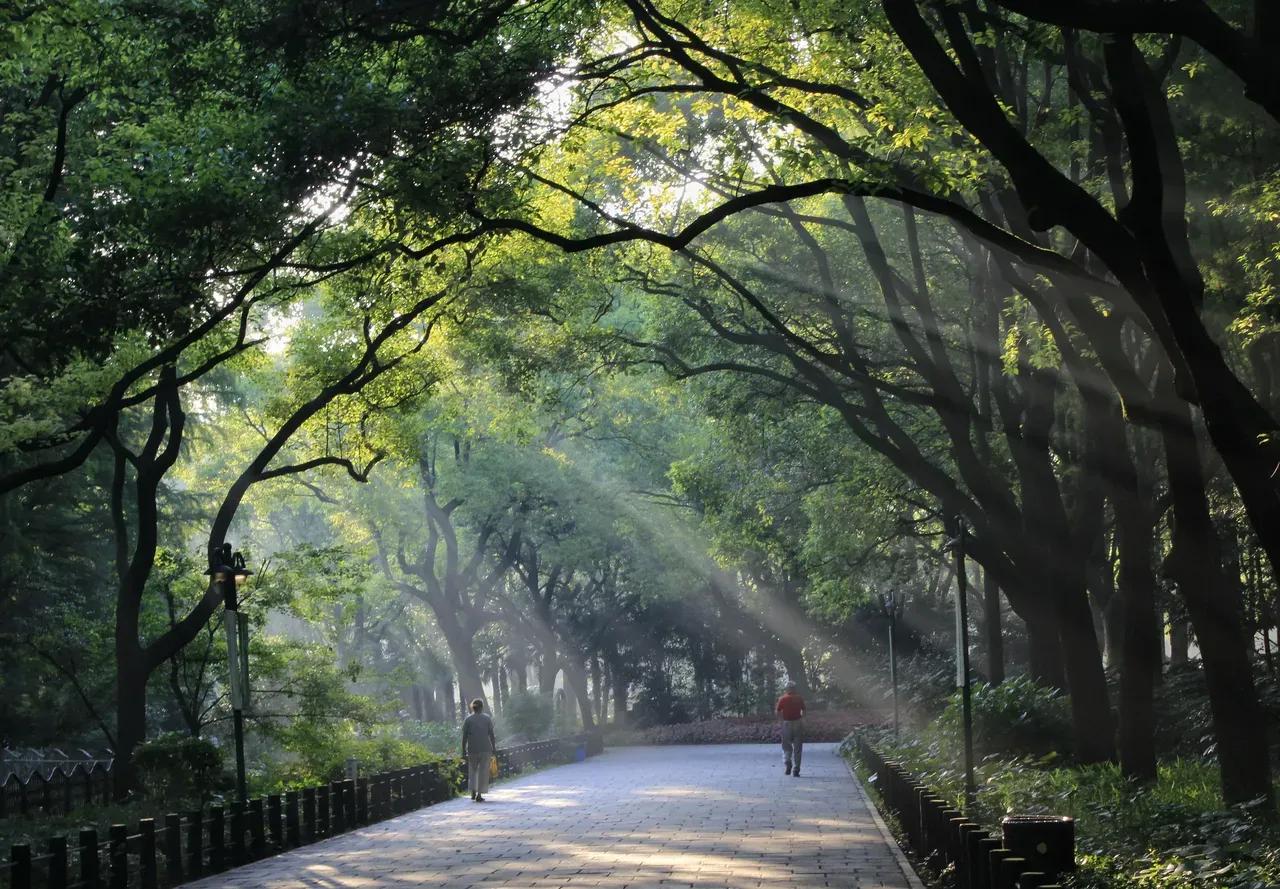 有关铭六1班的一些影影绰绰