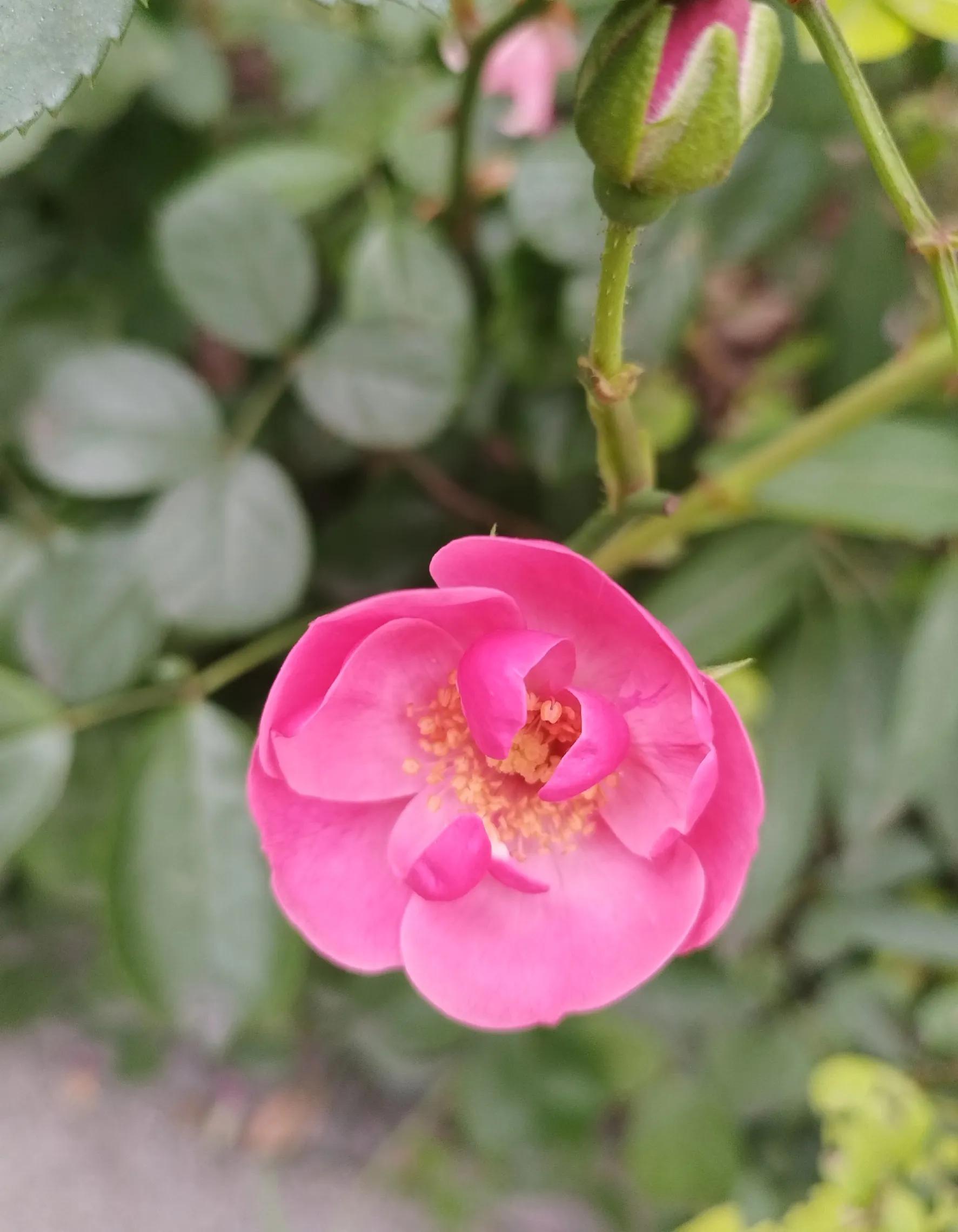 照顾病人真的没有耐心,照顾病人真的不容易