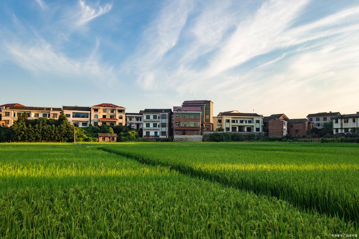 农村未来10大暴利行业家庭作坊,农村未来10大暴利养殖推荐