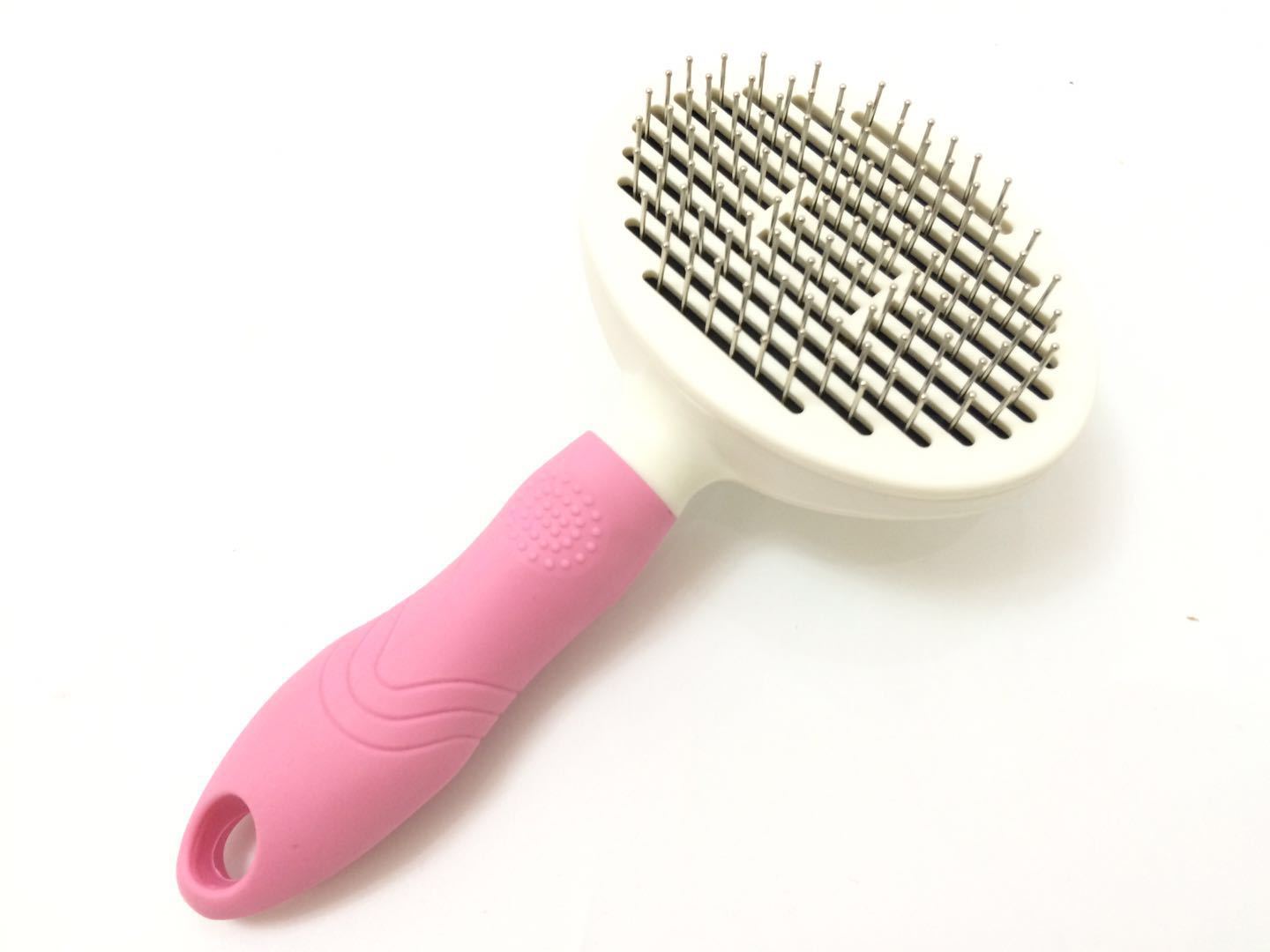 新手养公泰迪还是母泰迪,新手如何养泰迪