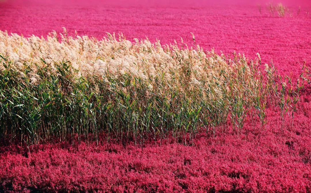 60岁之前必去的34省区最美天堂,最真实最美的旅游地方