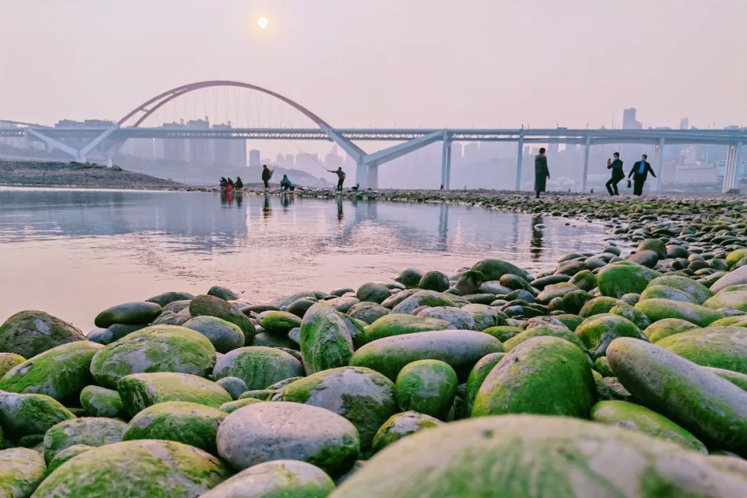 关于春天的古诗1000首,春天桃花古诗大全100首