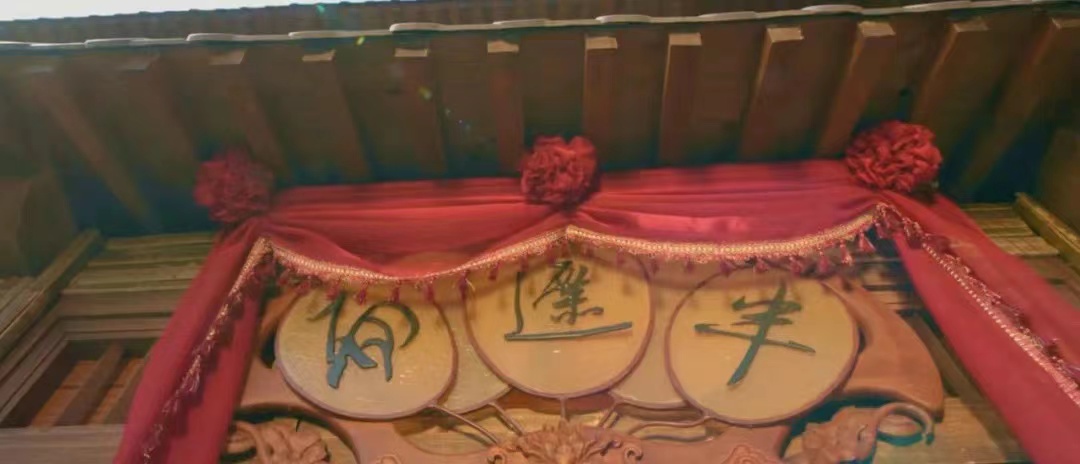 刘亦菲分享如何创业,看刘亦菲的电影是什么感觉