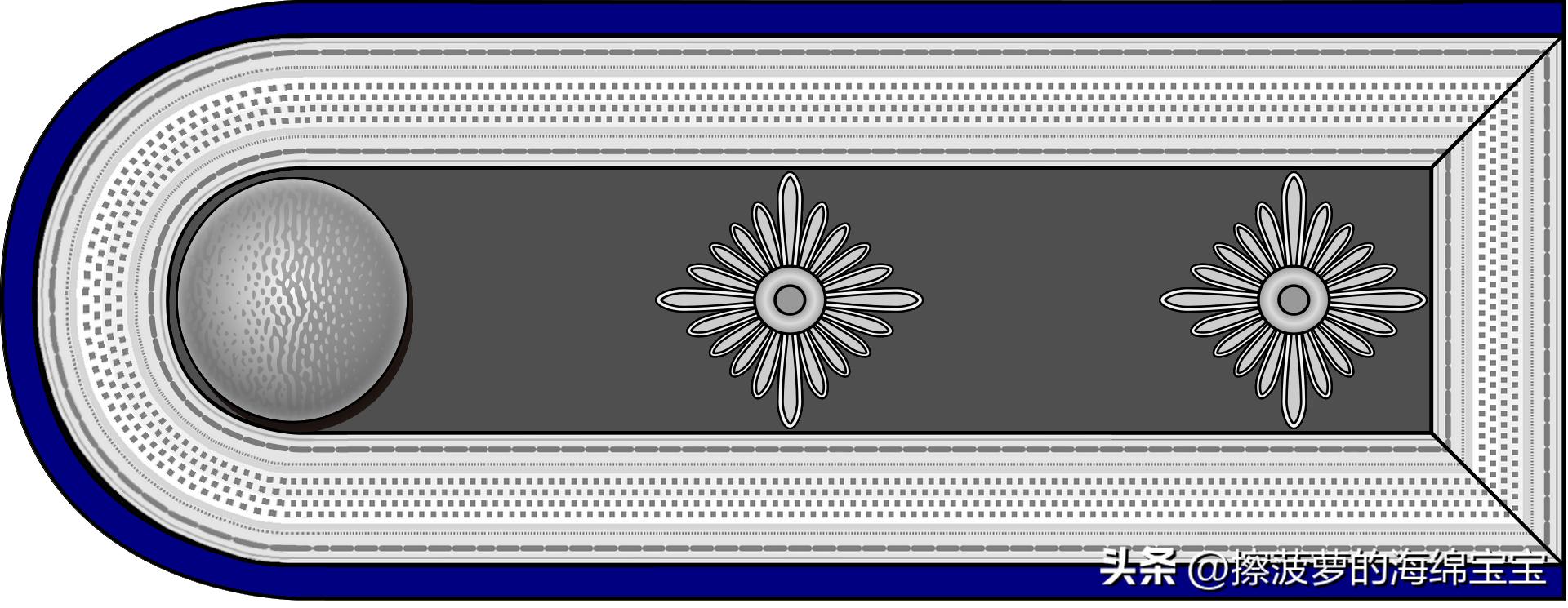 二战德国国防军医疗兵军衔标志