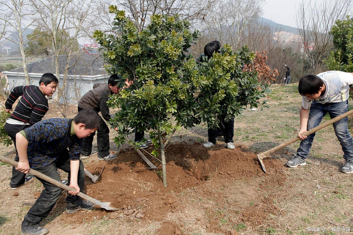 农村未来10大暴利行业家庭作坊,农村未来10大暴利养殖推荐