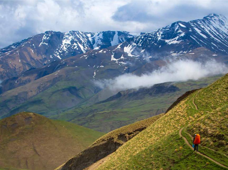 湾区羙好生活周报｜生而热枕终也欢恰