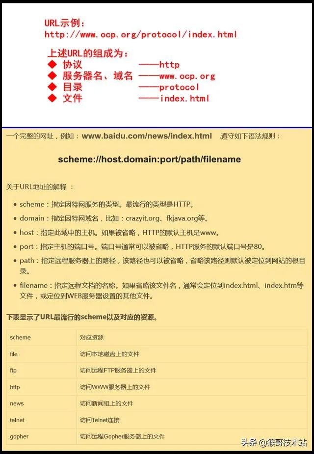 什么是ip地址什么是域名解析,ip地址和域名解析