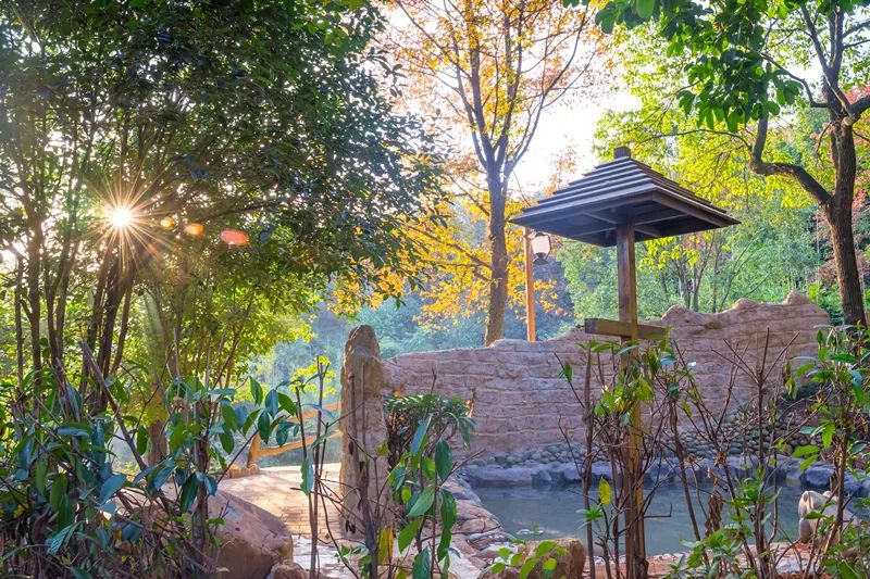 武汉周围的旅游城市温泉,武汉附近温泉度假村排名