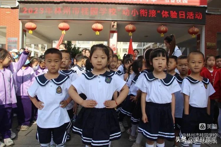 聚焦德育活动促学生全面发展,聚焦入学助力儿童成长公开课