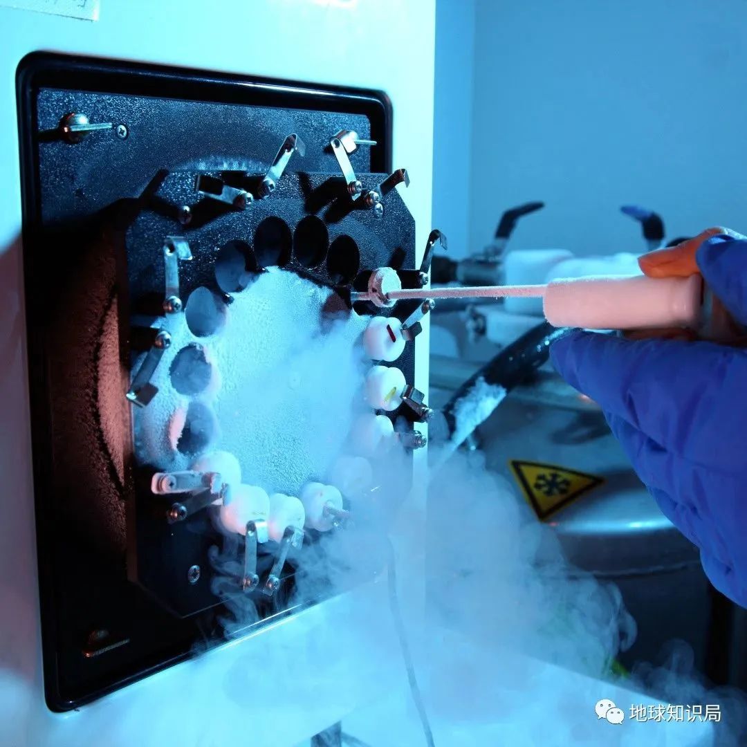 地球知识局俄罗斯,地球知识局俄罗斯远东