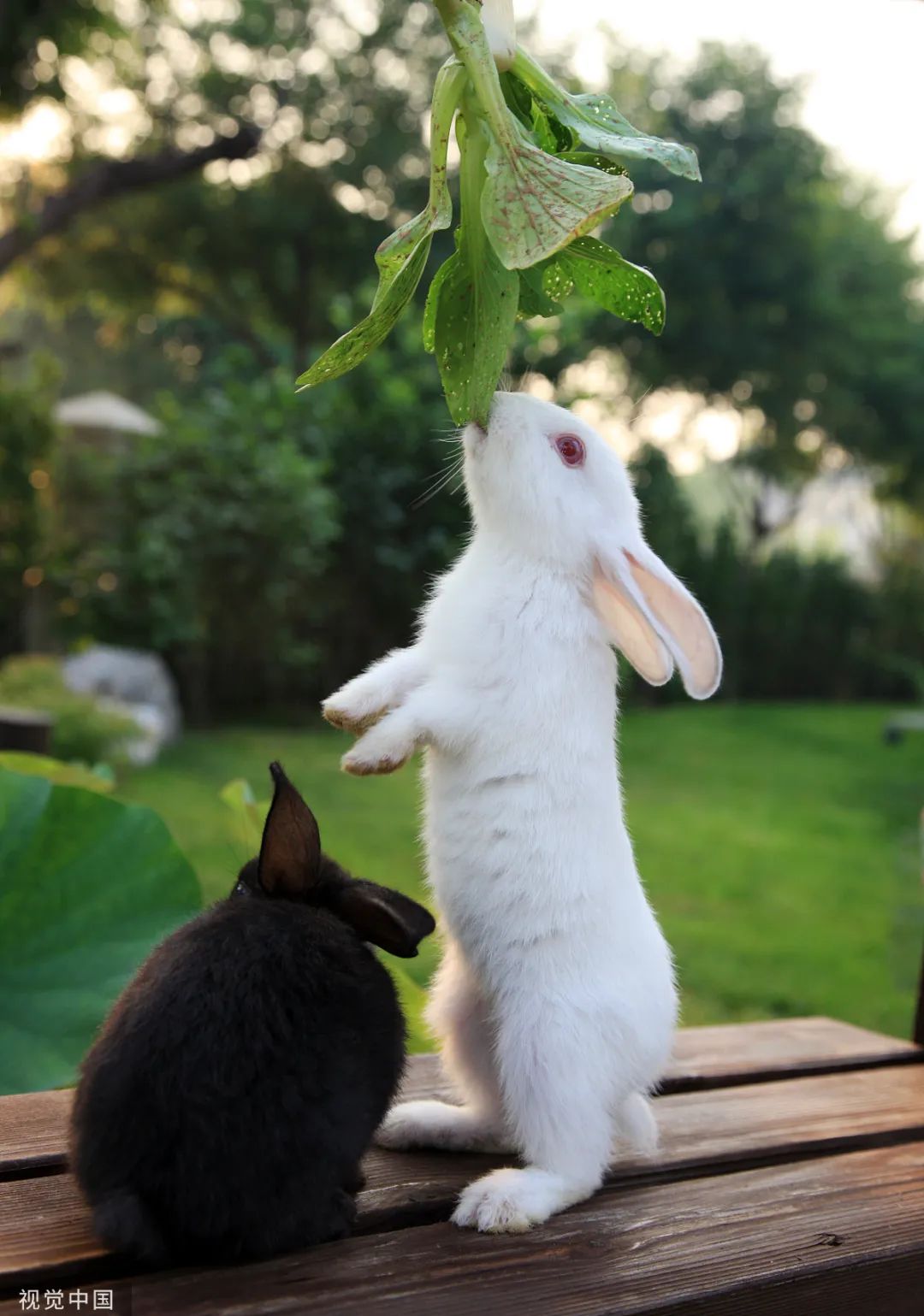 原来你是这样的宋医生在线阅读,原来你是这样的人作文