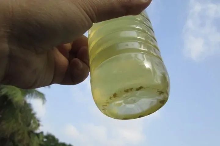 进境羽毛检疫政策调整,进境羽毛羽绒检疫