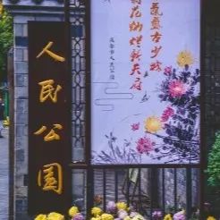 成都去北海自驾旅游攻略及花费,成都重庆九寨沟旅游攻略自由行