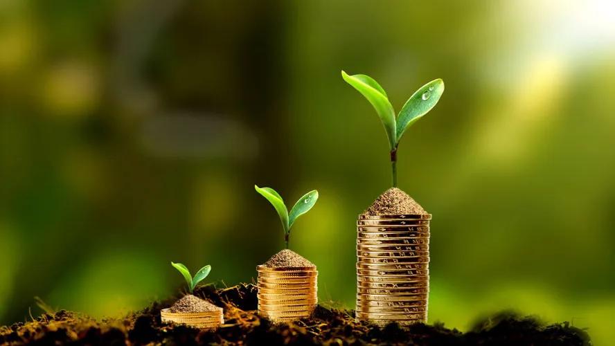 一个农民18个月5万到1.2亿，到底有什么学习和借鉴的智慧