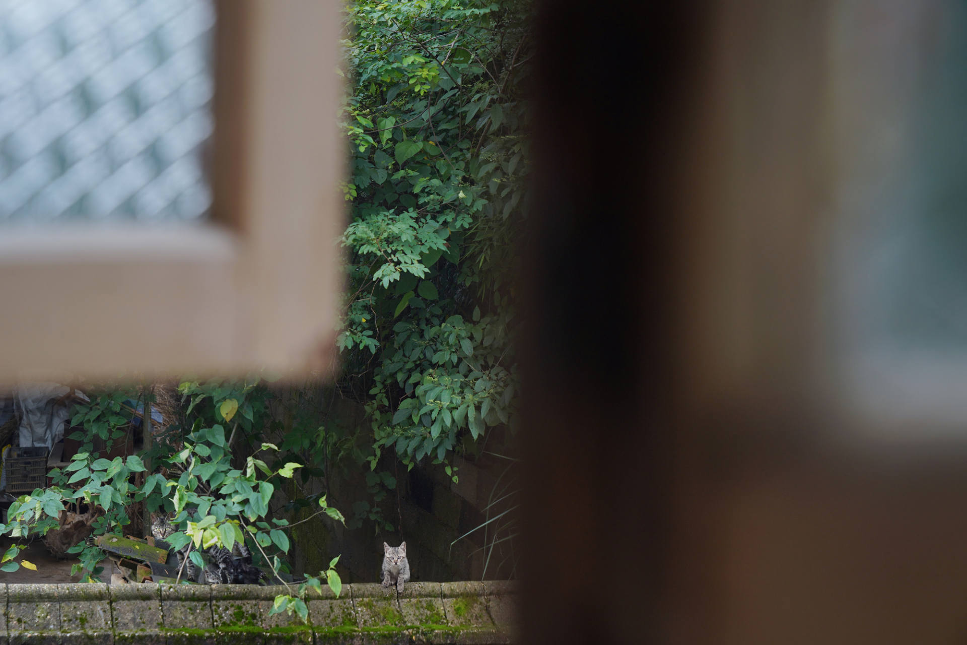 学习笔记2022-8-30