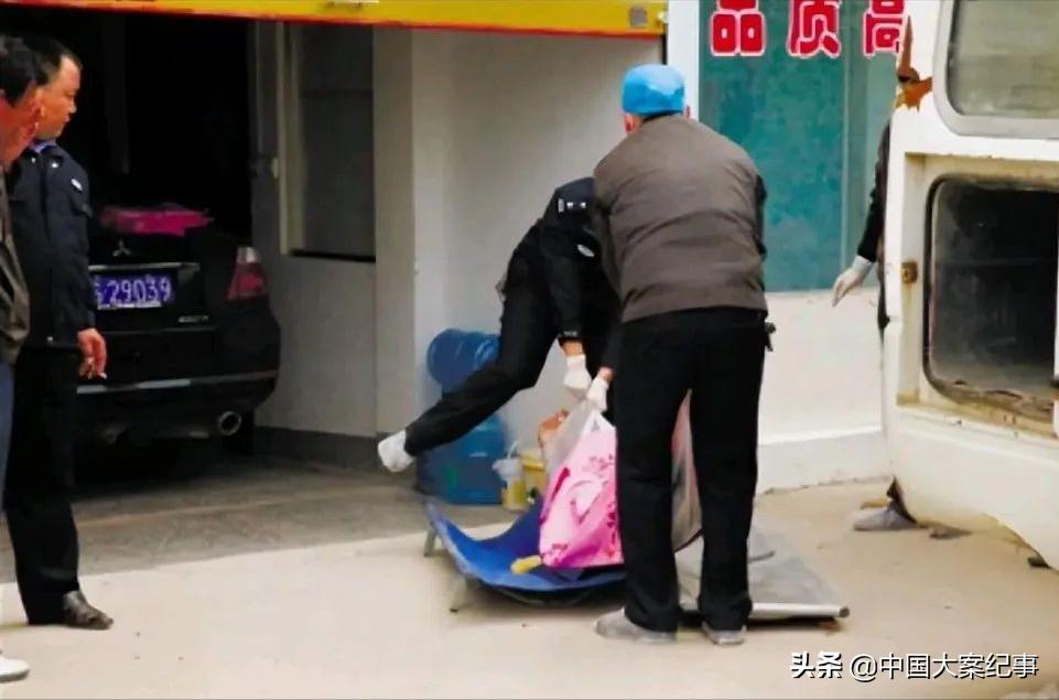 蒙城特大事件,蒙城特大案纪实