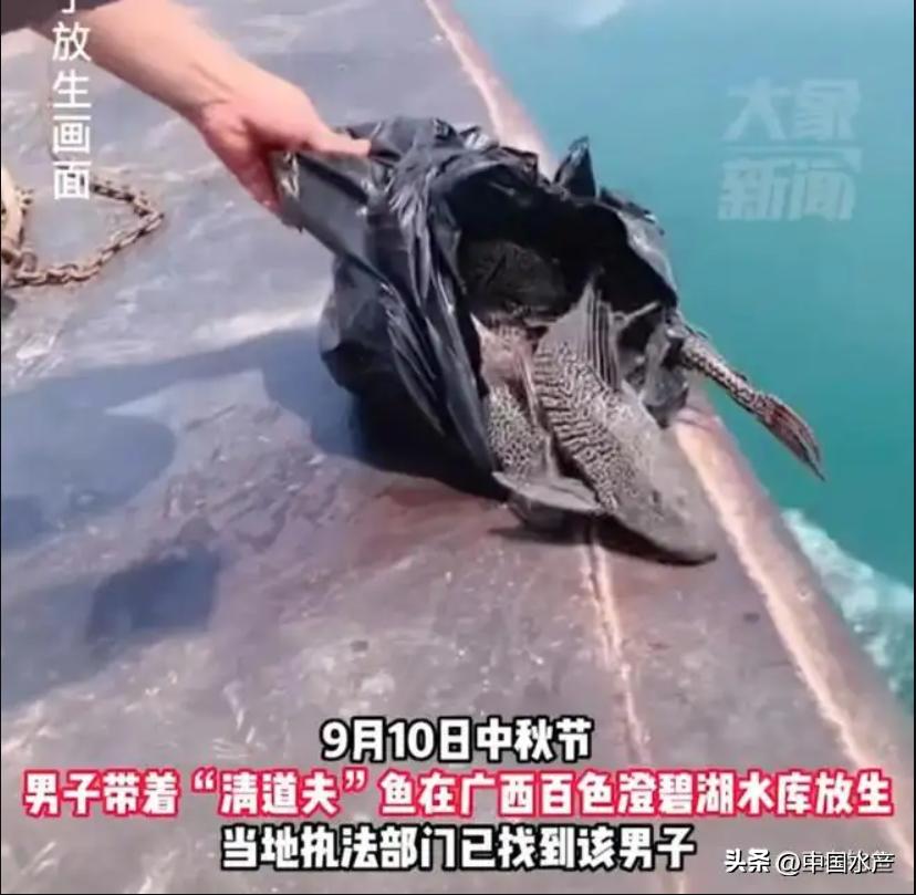 水生外来物种入侵防控工作方案,水生动物防疫