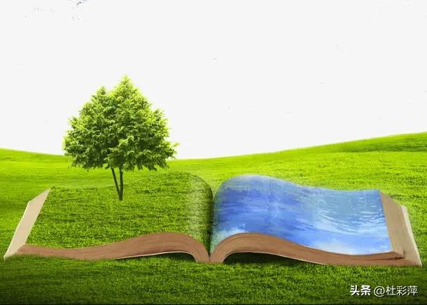 王国根先生现代诗作品专集欣赏（一）