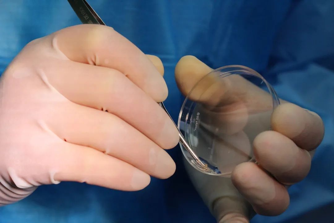 抗击疫情硬核技术,抗击疫情中的尖端技术