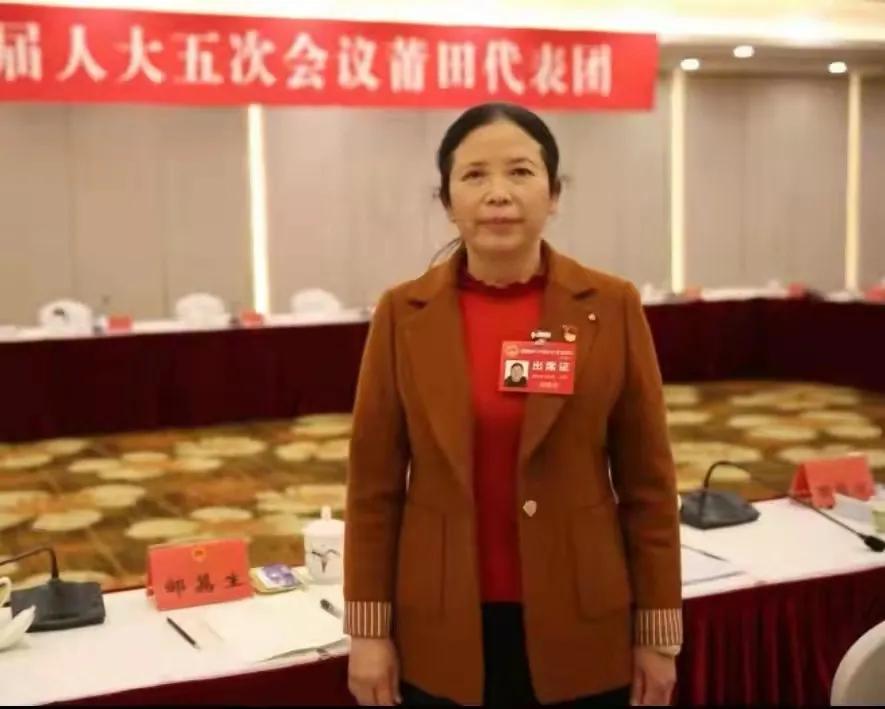福建两会省人大代表莆田代表发言,福建省两会莆田代表