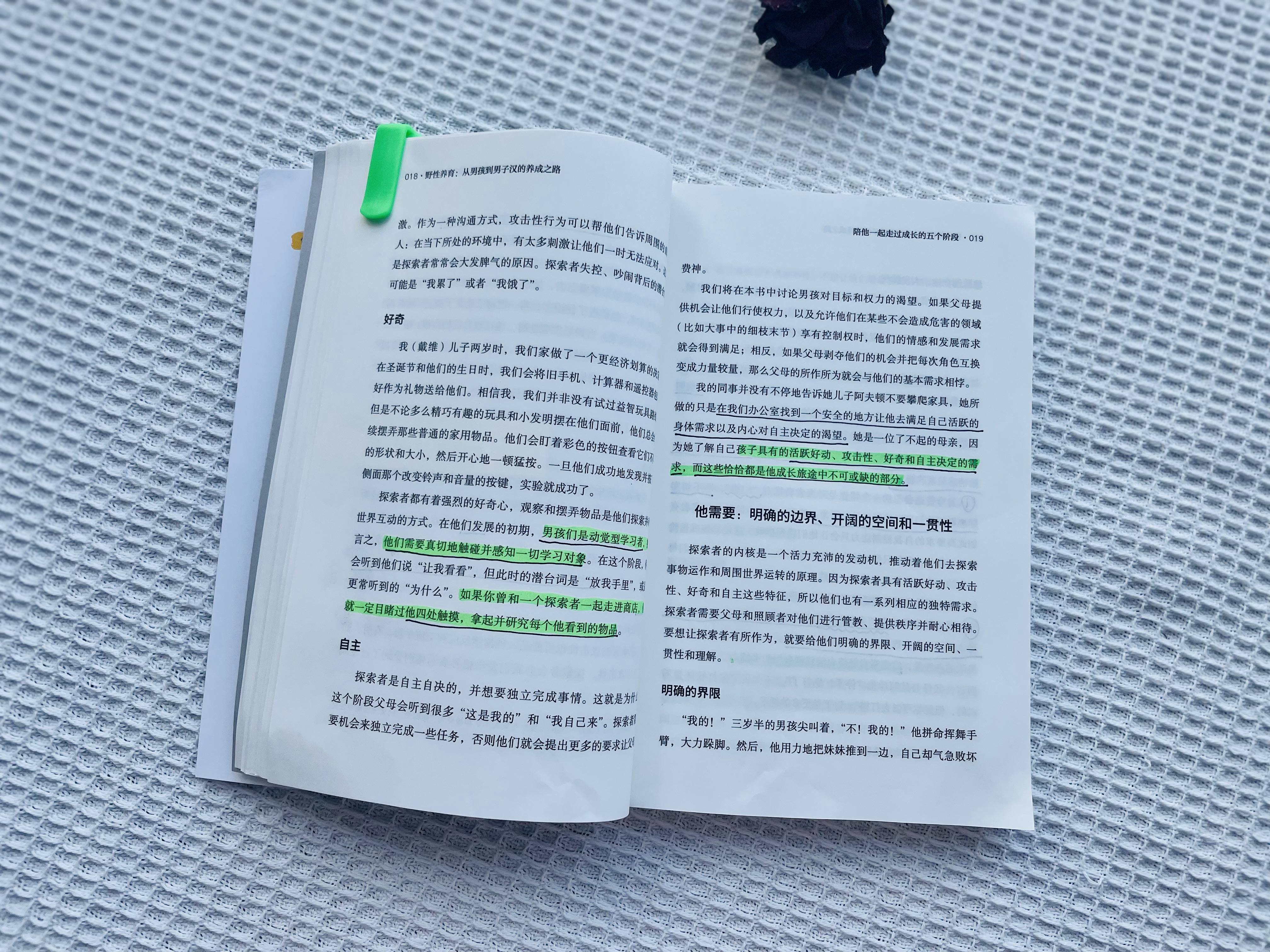 男孩养育大忌是什么,养育男孩3个关键期