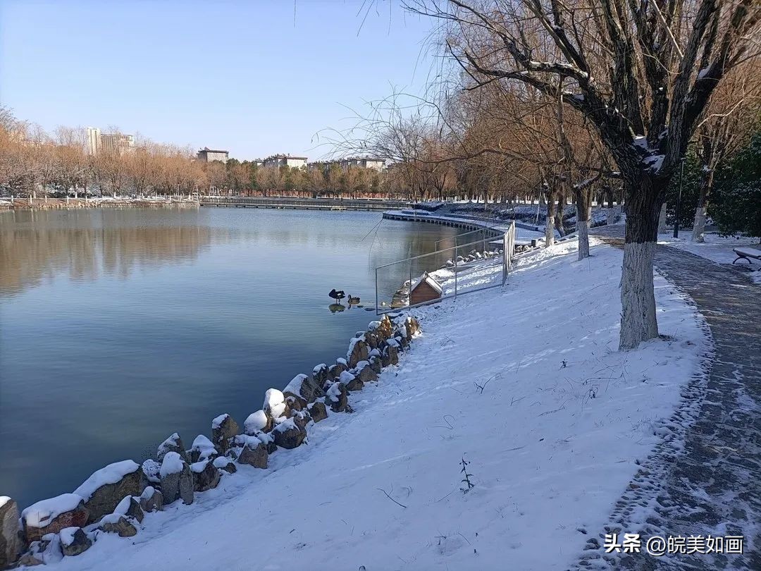 安徽大学好看的风景,高校最美秋景